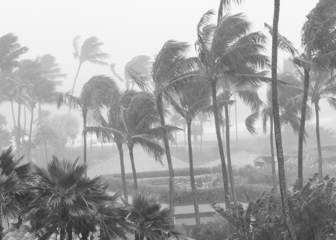 1922: An international hurricane season